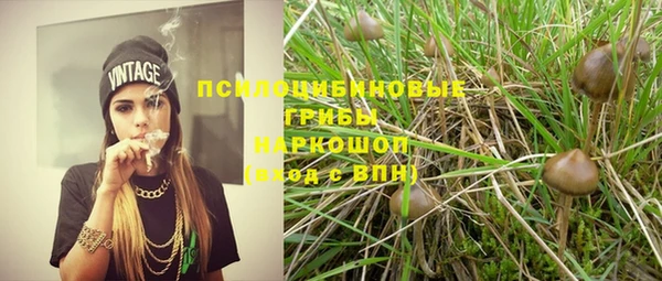 героин Лагань