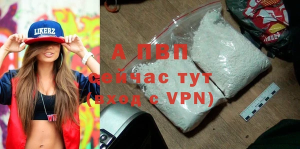 стафф Ладушкин