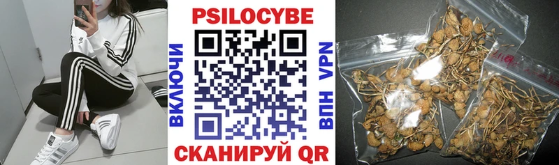 Псилоцибиновые грибы прущие грибы  Купить где  Петрозаводск 