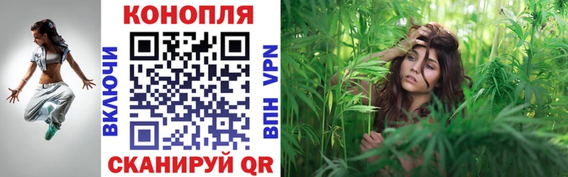 Бошки марихуана Bruce Banner  Купить  Петрозаводск 